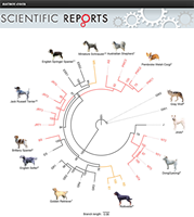 Accepted Nucleic Acids Resear