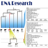 Accepted DNA Research