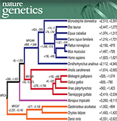 Accepted Nature Genetics